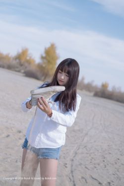奇妙小镇动画片全集